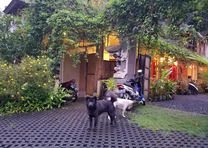 Rumah Herbal Therapy Balimanggis *